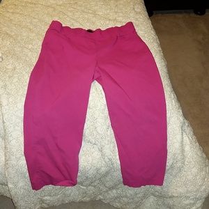 Plus size magenta Capri 2x